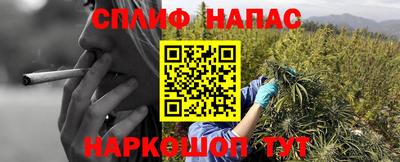 a pvp Бийск