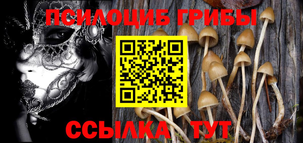 Ишимбай  Галлюциногенные грибы Psilocybe  Вход с VPN 